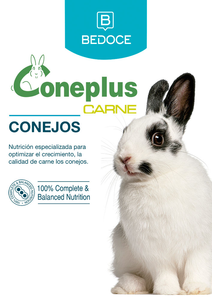 Coneplus Carne BEDOCE