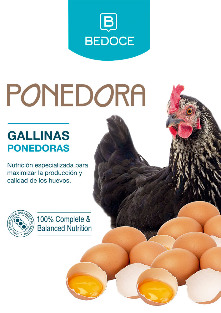 Ponedora BEDOCE