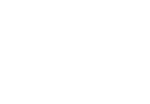 Logo Bedoce Perú